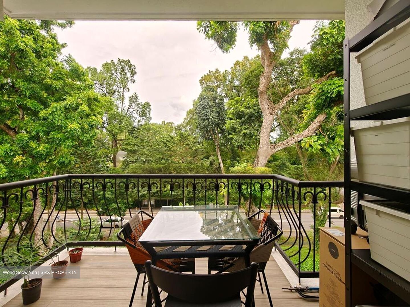 Tanglin Park (D10), Condominium #457571191
